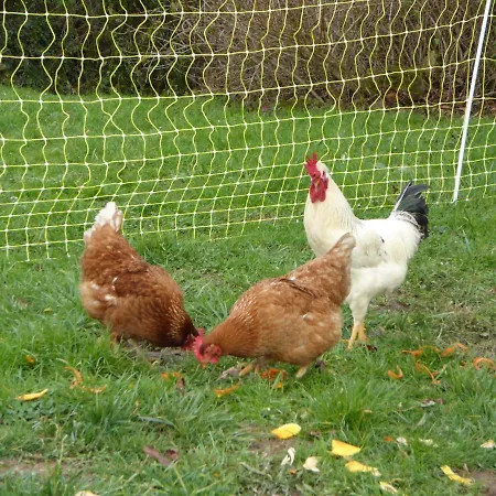 Casa de Férias Grande Maison De Caractere En Pierres -superbe Vue *