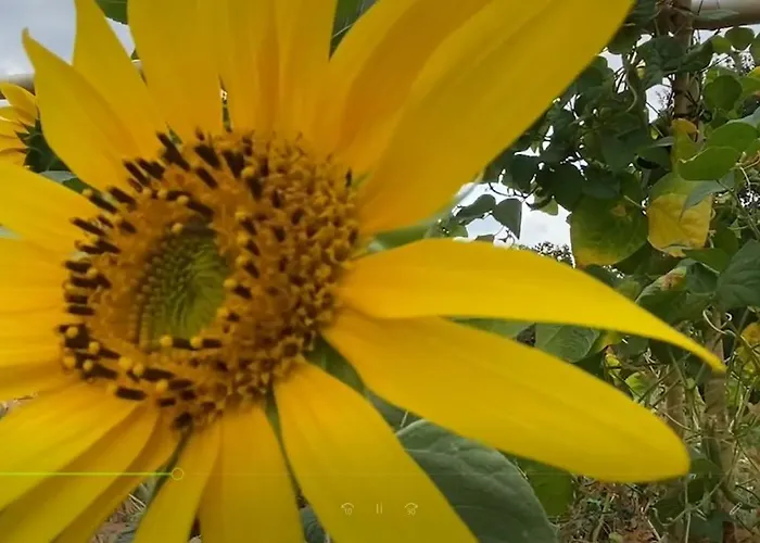 Grande Maison De Caractere En Pierres -superbe Vue