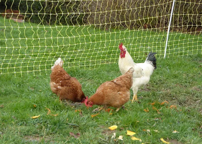 Prázdninový dům Grande Maison De Caractere En Pierres -superbe Vue *