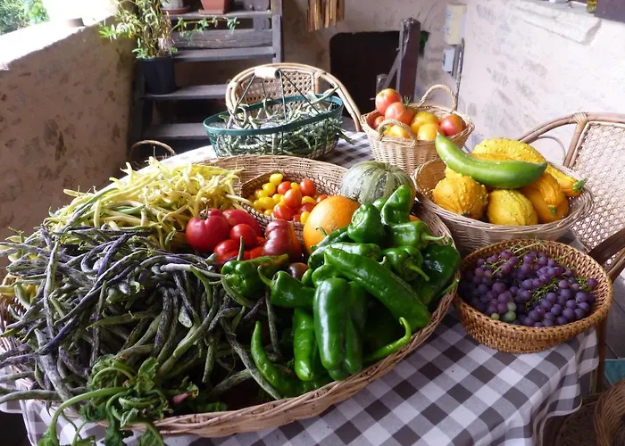 Grande Maison De Caractere En Pierres -superbe Vue * Saint-Cirgues (Lot)