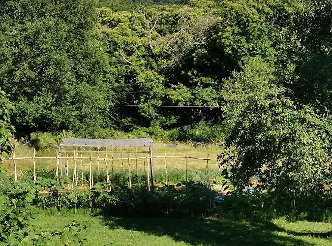 Hébergement de vacances Grande Maison De Caractère En Pierres -superbe Vue Saint-Cirgues (Lot)